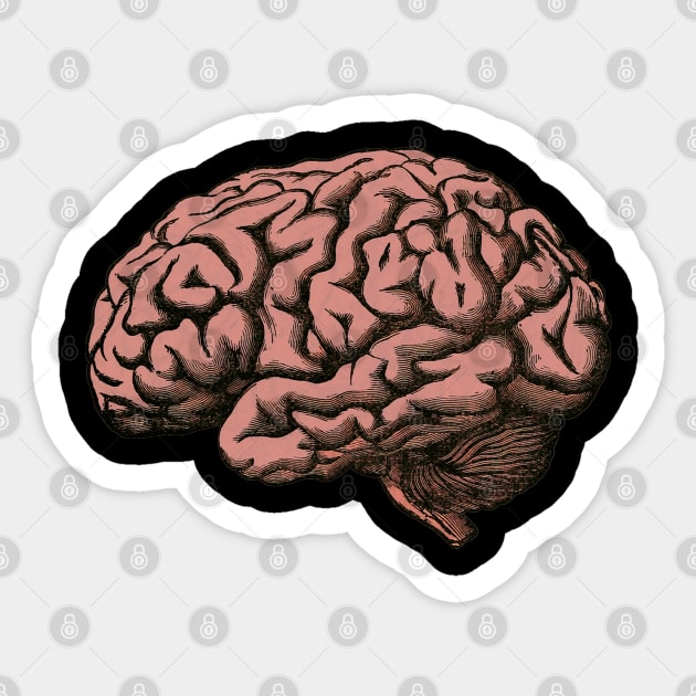 Brain Sticker by NerdsbyLeo